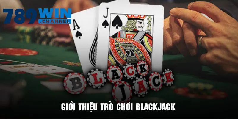 Những thông tin căn bản xoay quanh game bài Blackjack