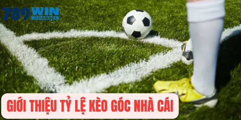 Tỷ lệ kèo góc nhà cái là gì, khái niệm dành cho bạn