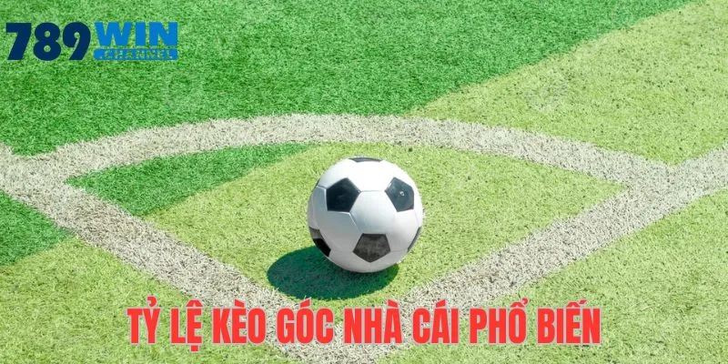 Dạng tỷ lệ kèo góc phổ biến nhất xuất hiện tại nhà cái